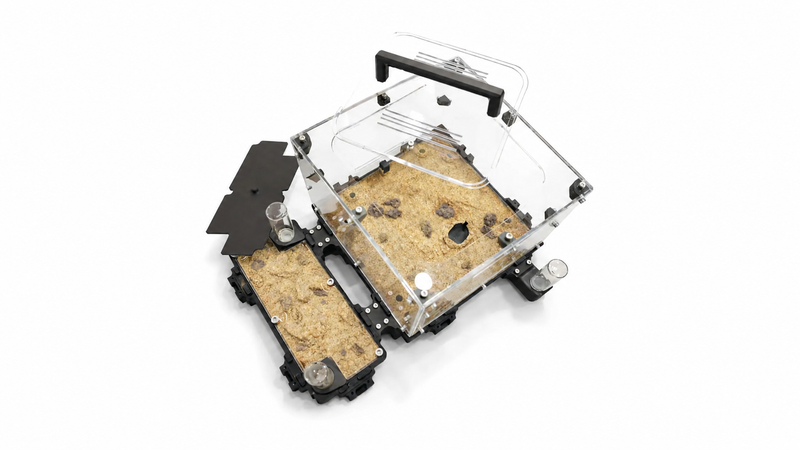 All Nesting and Foraging Modules