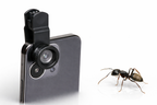 Macro clip-on Phone lens