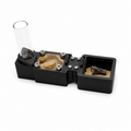 QNC Modular Formicarium – Empire Founding Nest