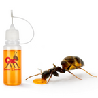 Ant Sugar Nectar