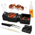 Red Fire Ants Starter Kit | Live Myrmica Rubra Ant Colony Growth Kit